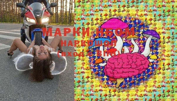 стафф Аркадак