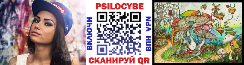 Галлюциногенные грибы Cubensis Волгоград